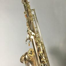YANAGISAWA T-WO2_6