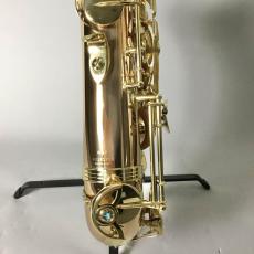 YANAGISAWA T-WO2_8