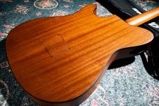 Ibanez FRH10N NTF_8