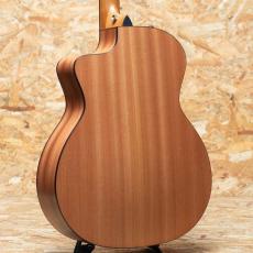 Taylor 114ce-S_2