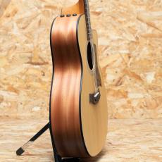 Taylor 114ce-S_4