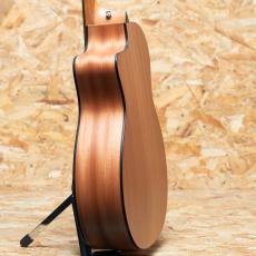 Taylor 114ce-S_5