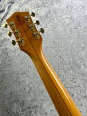 Gretsch 【ボーナスセール】G6120-1962 Custom Edition  'Nashville 【2003'USED】【1F】_5