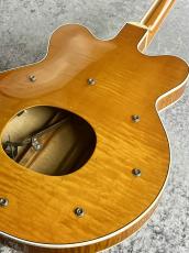 Gretsch 【ボーナスセール】G6120-1962 Custom Edition  'Nashville 【2003'USED】【1F】_11