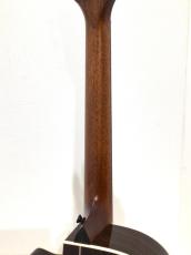 Taylor Next Generation 812ce_8