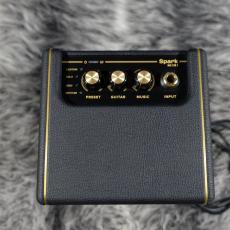 Positive Grid Spark MINI_2