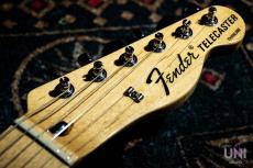 Fender Classic Series '72 Telecaster Thinline / 2007_3