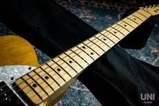 Fender Classic Series '72 Telecaster Thinline / 2007_4