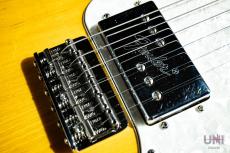 Fender Classic Series '72 Telecaster Thinline / 2007_6