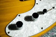 Fender Classic Series '72 Telecaster Thinline / 2007_7