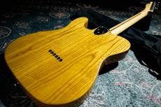 Fender Classic Series '72 Telecaster Thinline / 2007_8