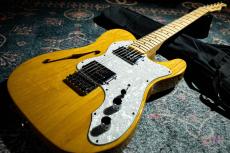 Fender Classic Series '72 Telecaster Thinline / 2007_9