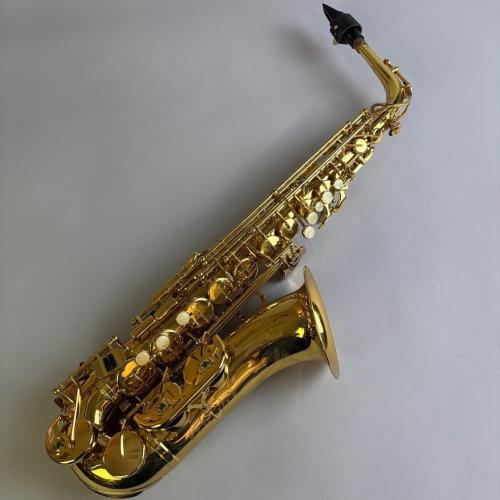 B&S Series1000 【未調整特価】