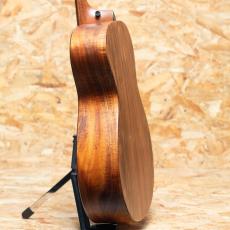 Taylor Jacob Collier Signature Model  JCSM-6_5
