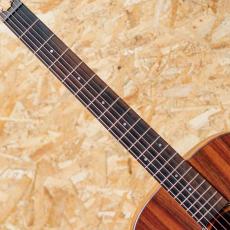 Taylor Jacob Collier Signature Model  JCSM-6_6