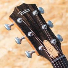 Taylor Jacob Collier Signature Model  JCSM-6_8