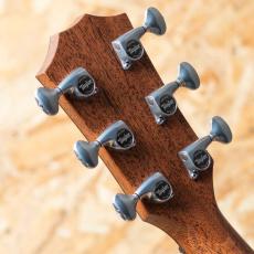Taylor Jacob Collier Signature Model  JCSM-6_9