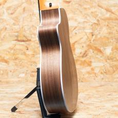 Taylor 212ce Walnut_5