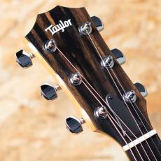 Taylor 212ce Walnut_8