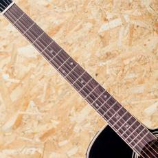 Takamine FPT561C BL_6