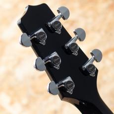 Takamine FPT561C BL_9