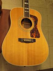 Guild D-55 (2008)