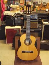 ARIA AC-85A ALTO_2