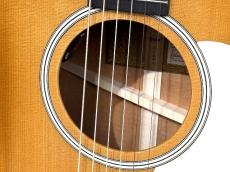 Taylor 【Gold Label】514e SB 【クリームカラーピックガード】【48回無金利】_3