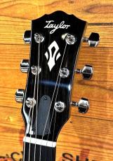 Taylor 【Gold Label】514e SB 【クリームカラーピックガード】【48回無金利】_5