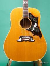 Gibson DOVE