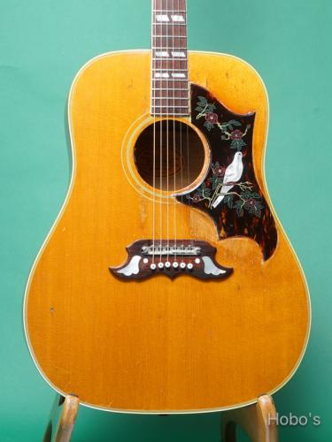 Gibson DOVE