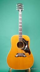 Gibson DOVE_2