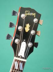 Gibson DOVE_3