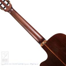 YAMAHA NTX3_6