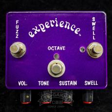 Prescription Electronics INC. (P.E.I.) experience fuzz_4