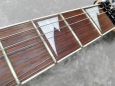 Ibanez RG350DX WH Mod_6