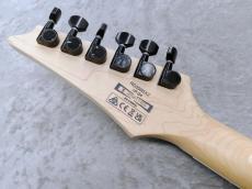 Ibanez RG350DX WH Mod_9