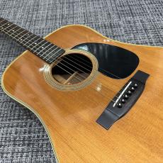 Tokai CE-500CF_6