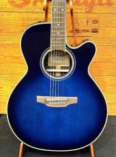 Takamine 【国産エレアコ】DMP552C DBS 【定番のローズウッドモデル】【スノーフレークインレイ】【48回払い無金利】