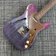 Triadz Custom Guitar TL-Hollow Limited