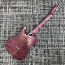 Triadz Custom Guitar TL-Hollow Limited_3