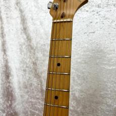 Fender American Standard Stratocaster M.O.D_5