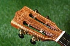 Uma ukulele PULSE KC Concert_5