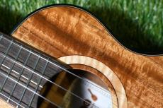 Uma ukulele PULSE KC Concert_9