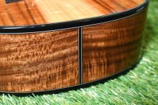 Uma ukulele PULSE KC Concert_12