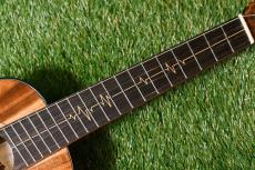 Uma ukulele PULSE KC Concert_15