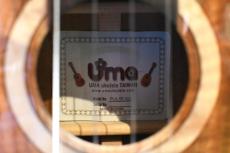 Uma ukulele PULSE KC Concert_16