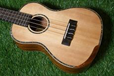 DCT DUC-450 Concert