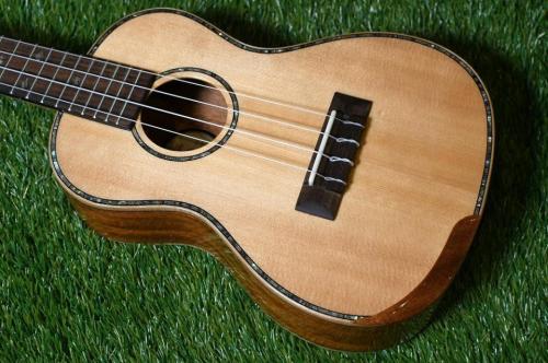 DCT DUC-450 Concert