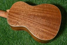 DCT DUC-450 Concert_2